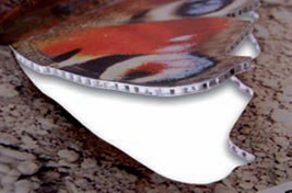 schilder_direktdruck_plattendruck_plattendirektdruck